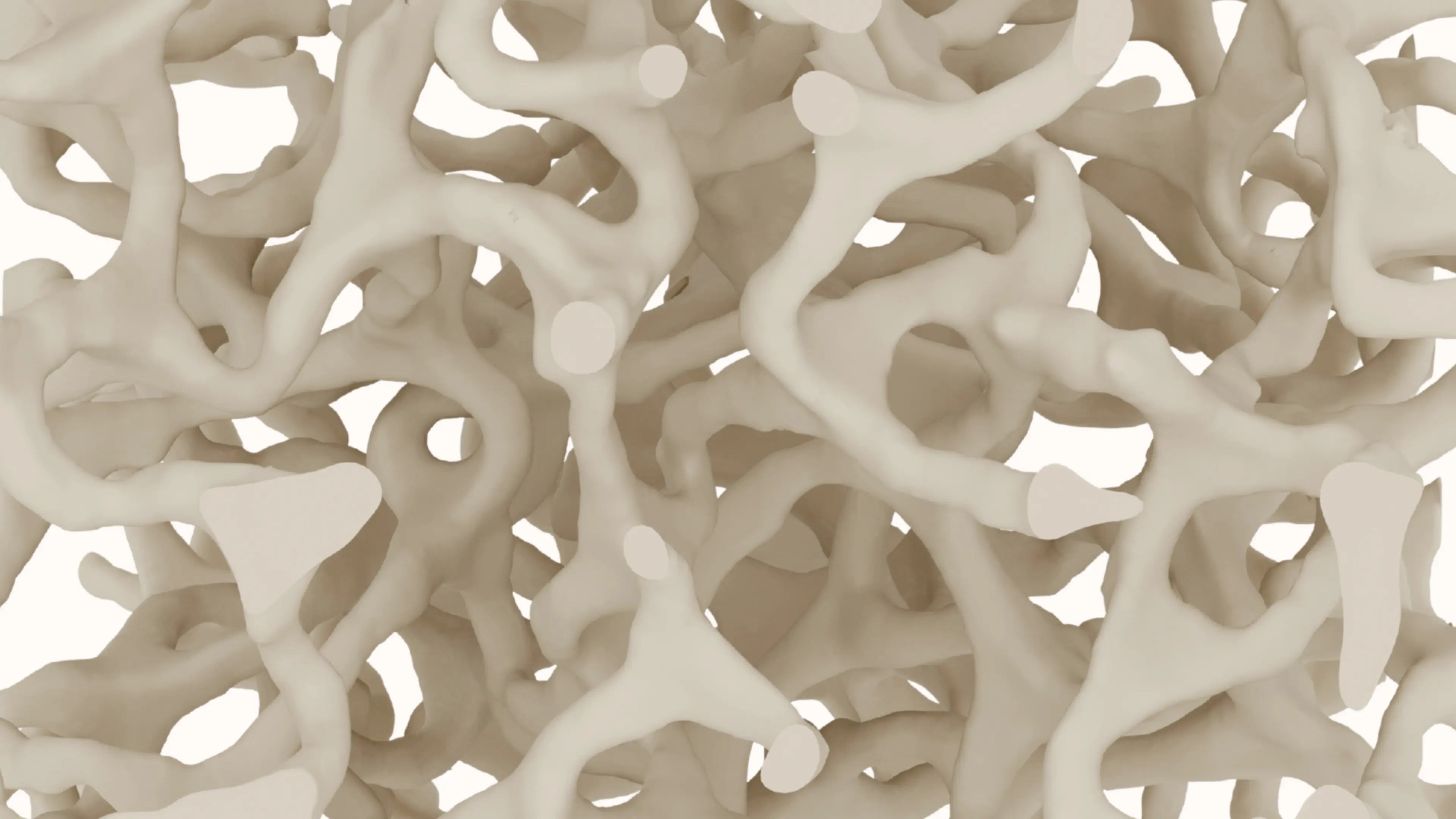 The Most Advanced Foam slide image